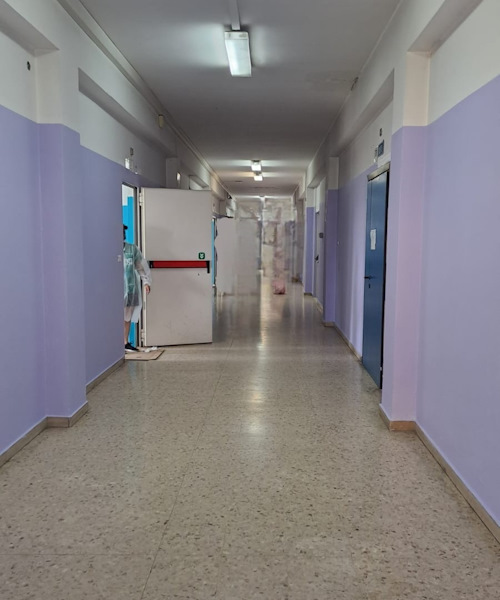 Mattina decoro foto 4